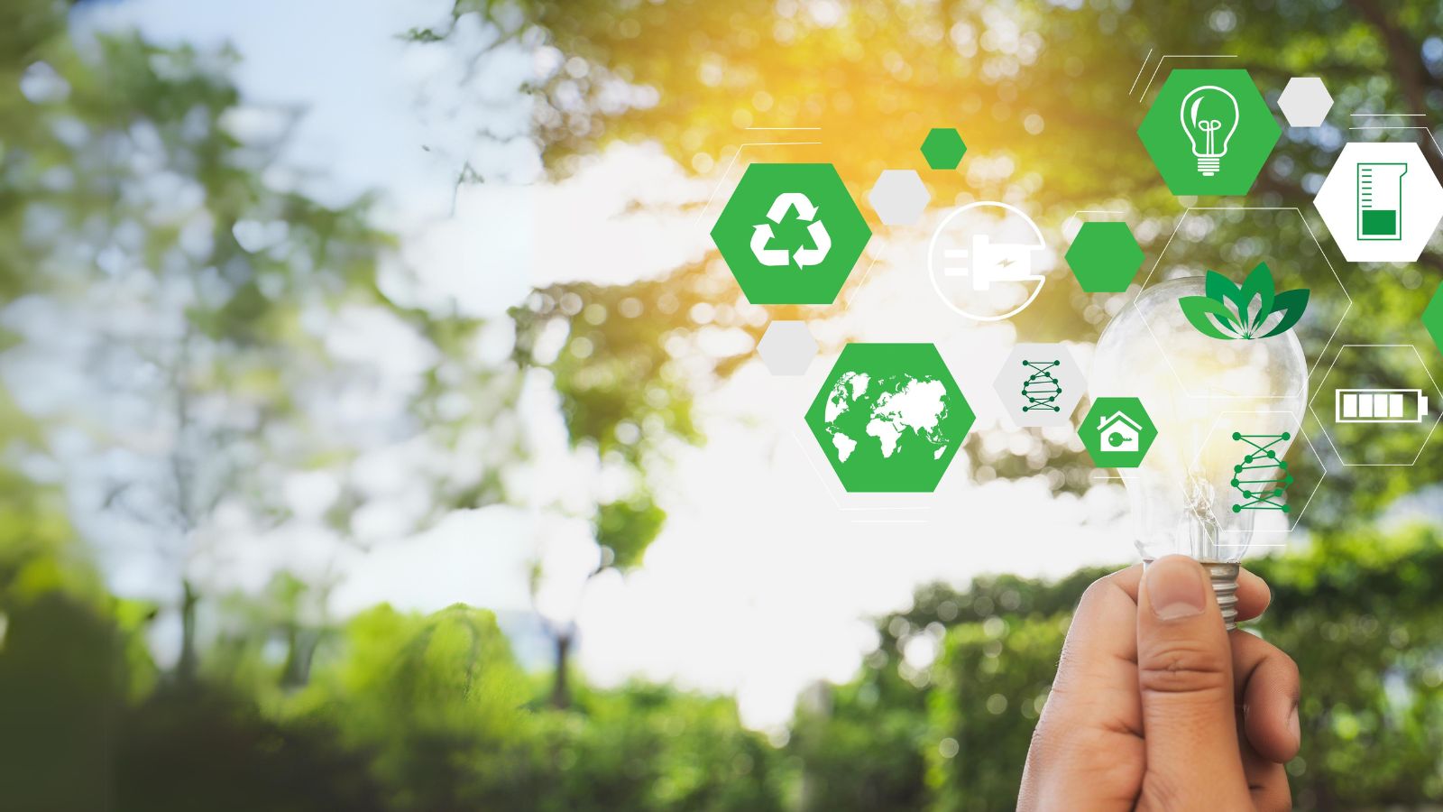 Nieuwe inzichten in het JD Edwards Sustainability Framework